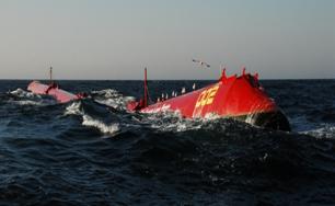 Pelamis mašine koriste energiju talasa za proizvodnju elektricne energije
